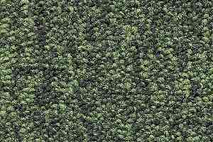 Ковролин Radici Trotter Smeraldo 9512 фото  | FLOORDEALER